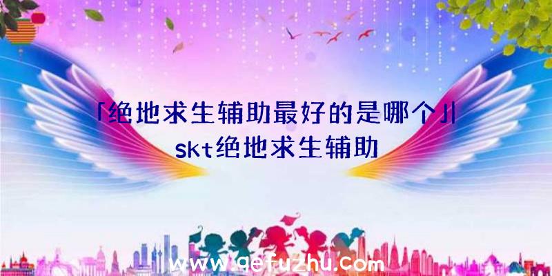 「绝地求生辅助最好的是哪个」|skt绝地求生辅助